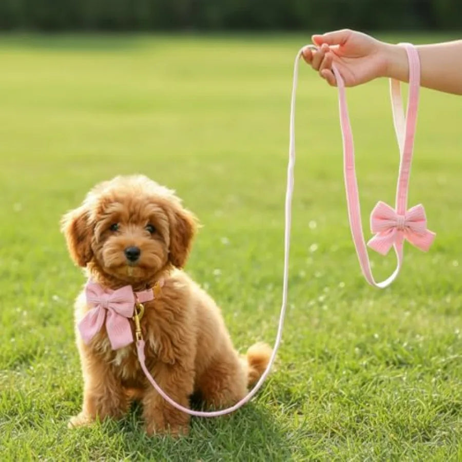 2pcs Dog Collar and Leash Set with Bowtie Cute Small Dog Collar Harness Leash Set Adjustable Breathable Soft Padded for Small M