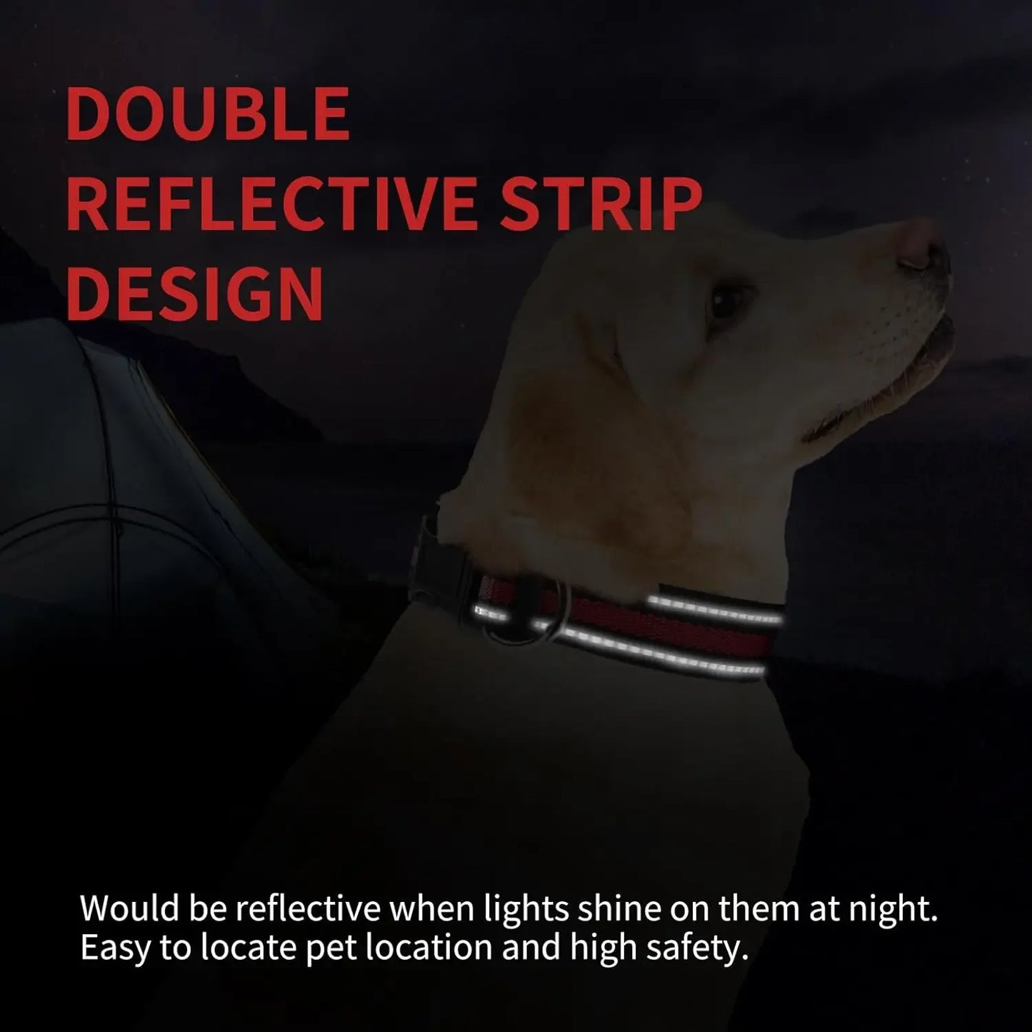 Highly Reflective Adjustable Dog Collar with Dual Metal D-Rings - Classic Colors for Small/Medium Dogs, 2-Pack (Red and Violet,M