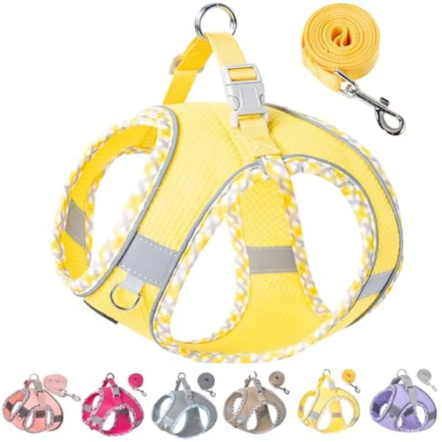 Dog Harness for Small Medium Dogs No Pull, Puppy Harness and Leash Set, Step in Dog Harness for Walking, Running, Training, Sma