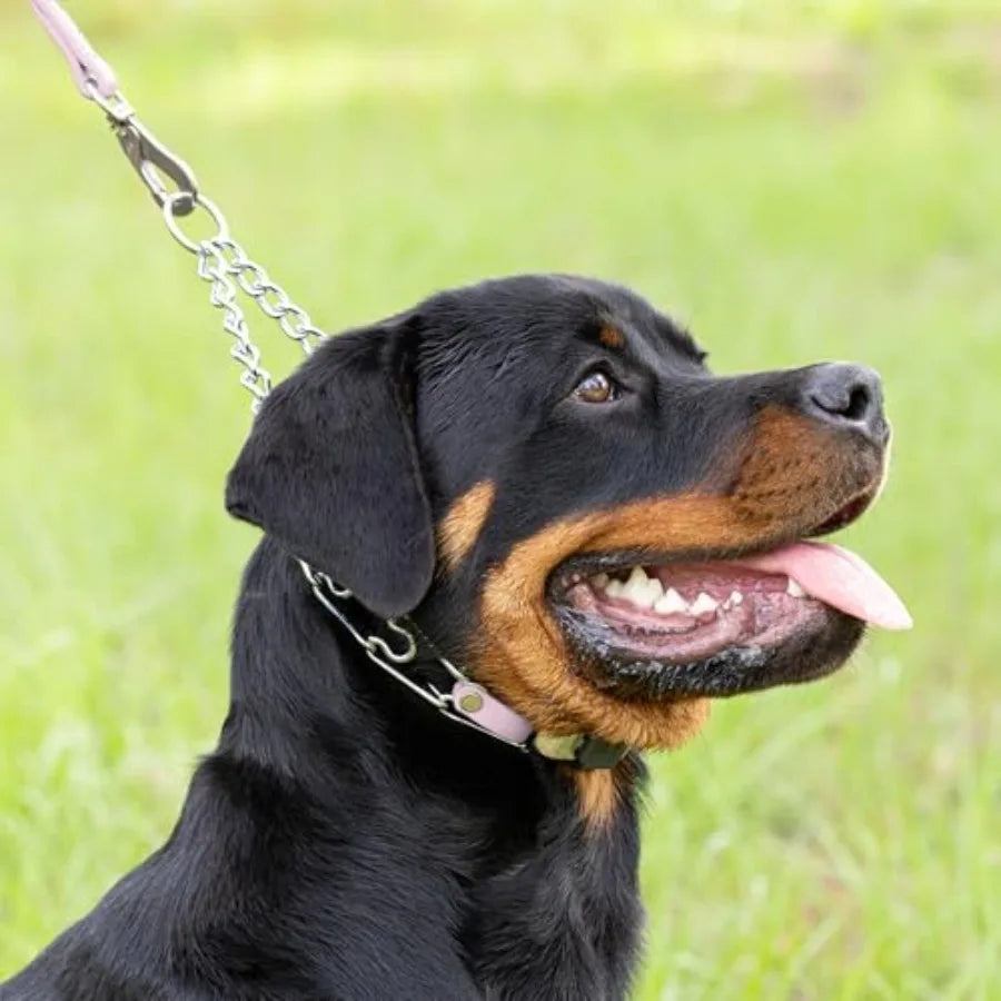Training collar for dogs, chrome plated steel with Pastel Purple Biothane insert, quick release ClicLock buckle and O-ring, 22i