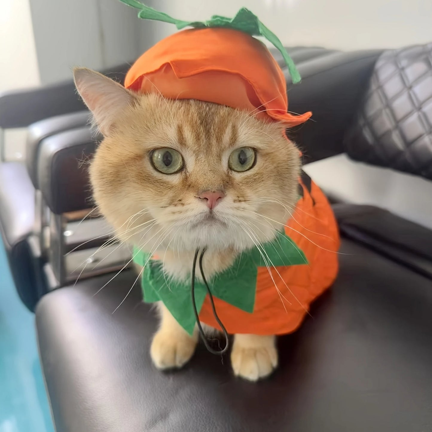 2Pcs Halloween Cat Costumes Kitten Witch Cloak and Hat Set for Small Medium Pets Dress Up Accessories for Holiday Party