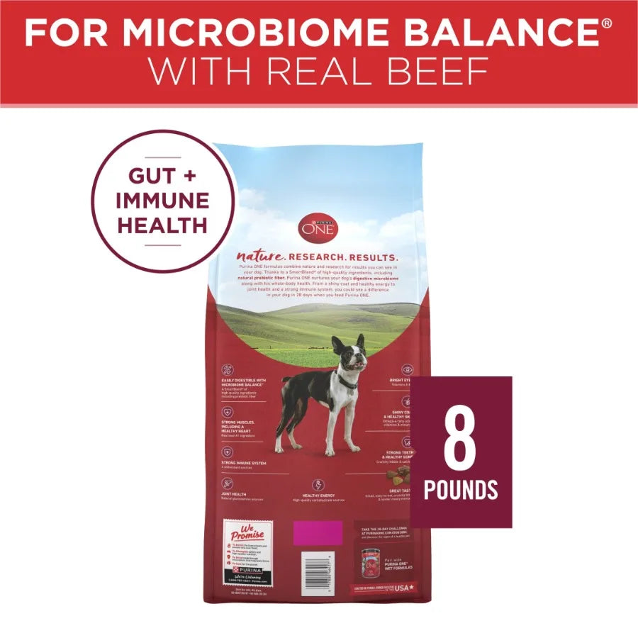 Small Bites Dry Dog Food for Adult Dogs with Added Vitamins and Minerals, High Protein Beef and Rice, 8 lb Bag