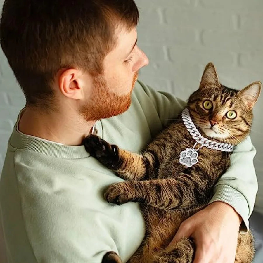 Cat Collar Diamond Chain Glitter Collar Walking Metal with Secure Buckle Cat Pet Necklace with Paw Charm and ID Tag Bell Link C