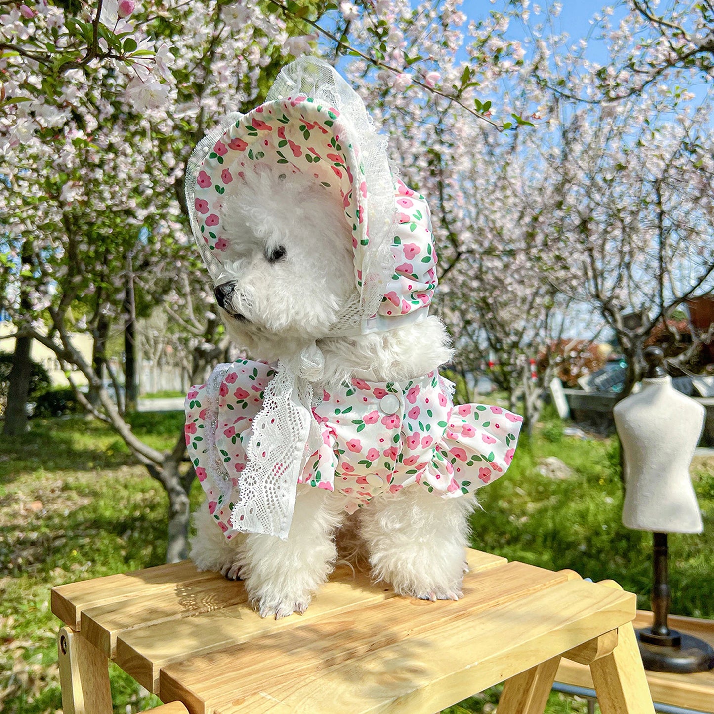 Pet Sun Hat with Floral Print and Lace Trim Double Layer Polyester Bonnet for Outdoor Dog Protection and Style