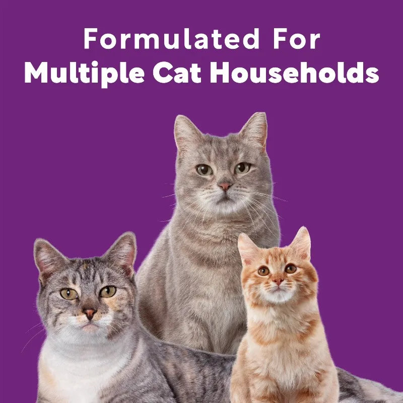 Multi Cat Litter With Meadow Fresh Scent, 38 lb. Box