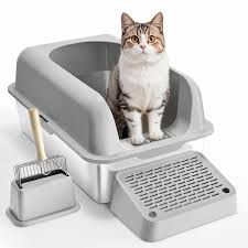 Cat Box