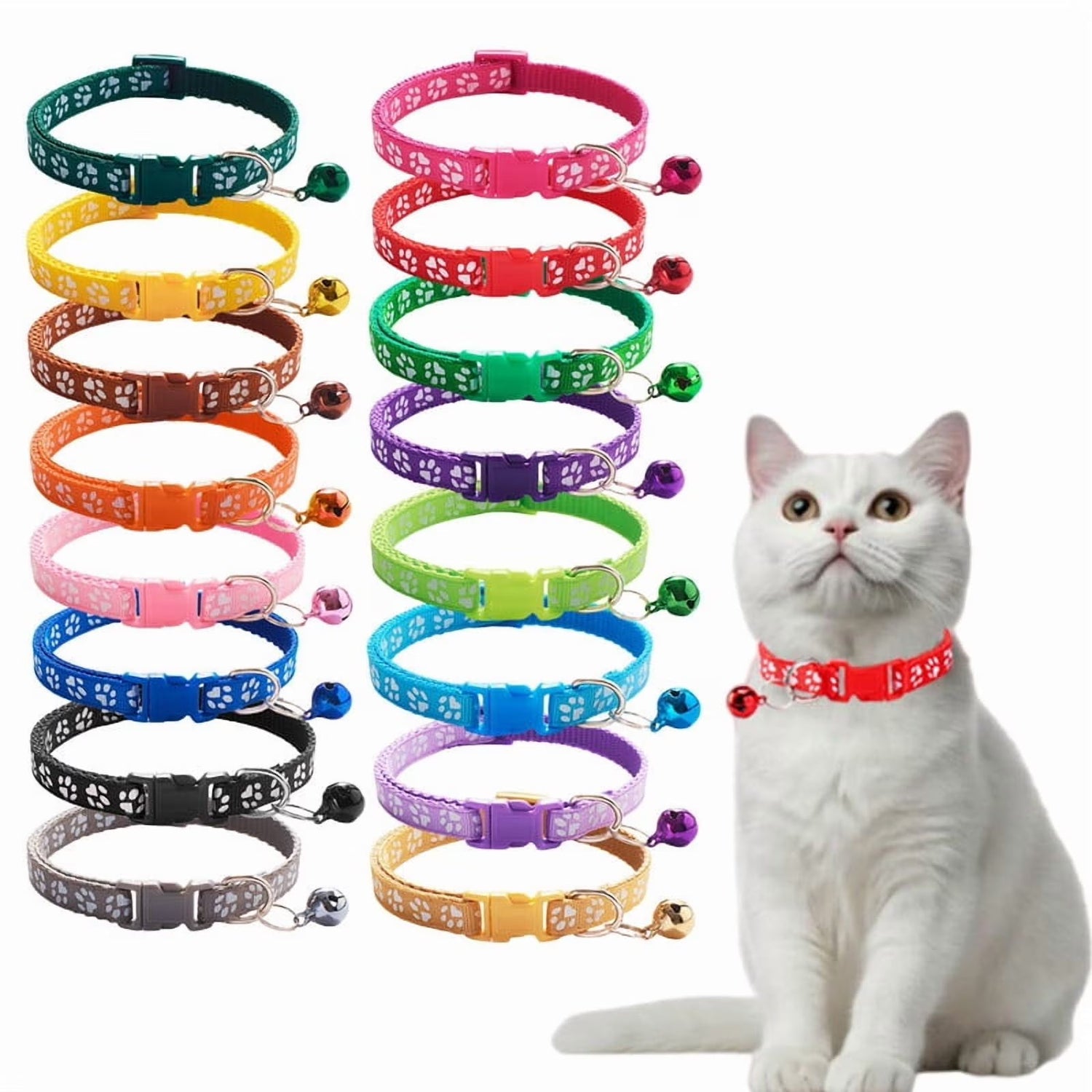 Cat Collars