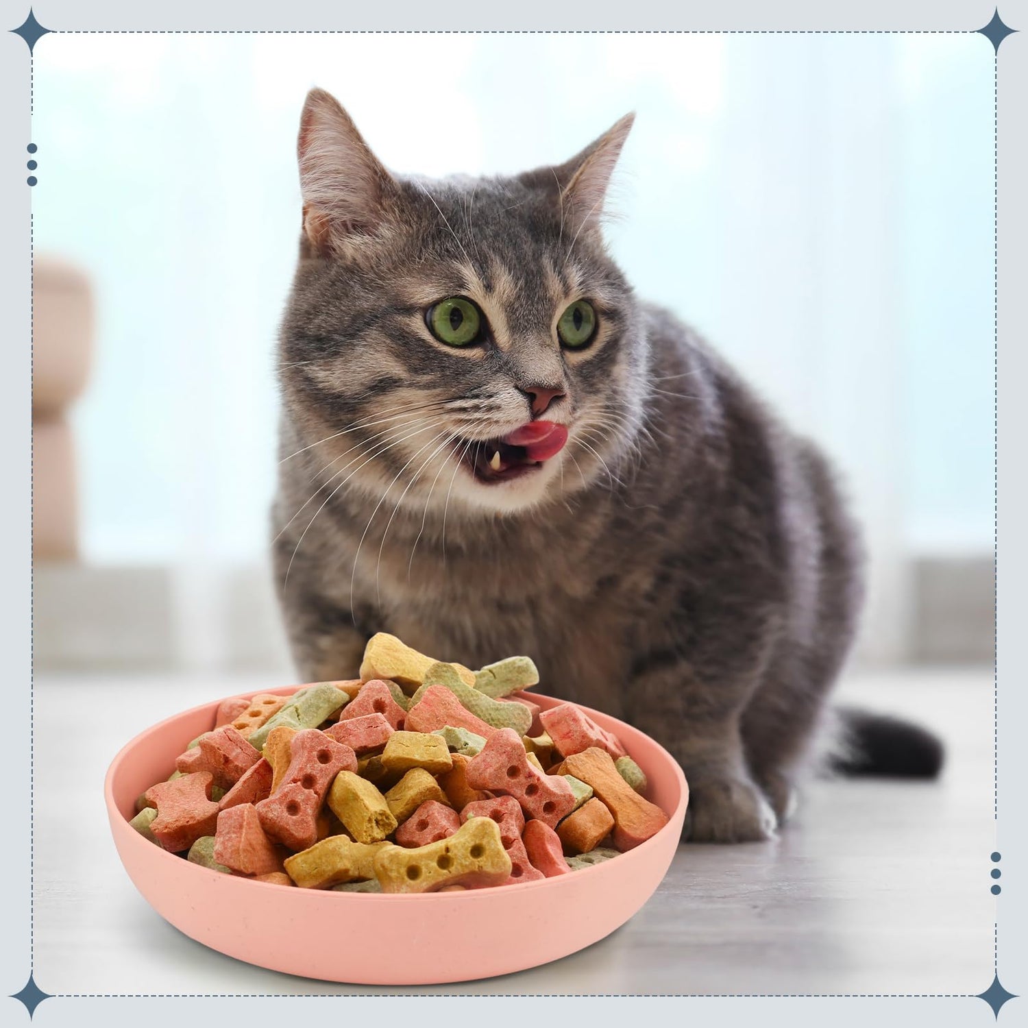 Cat Food
