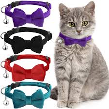 Cat / Small Dog Collars