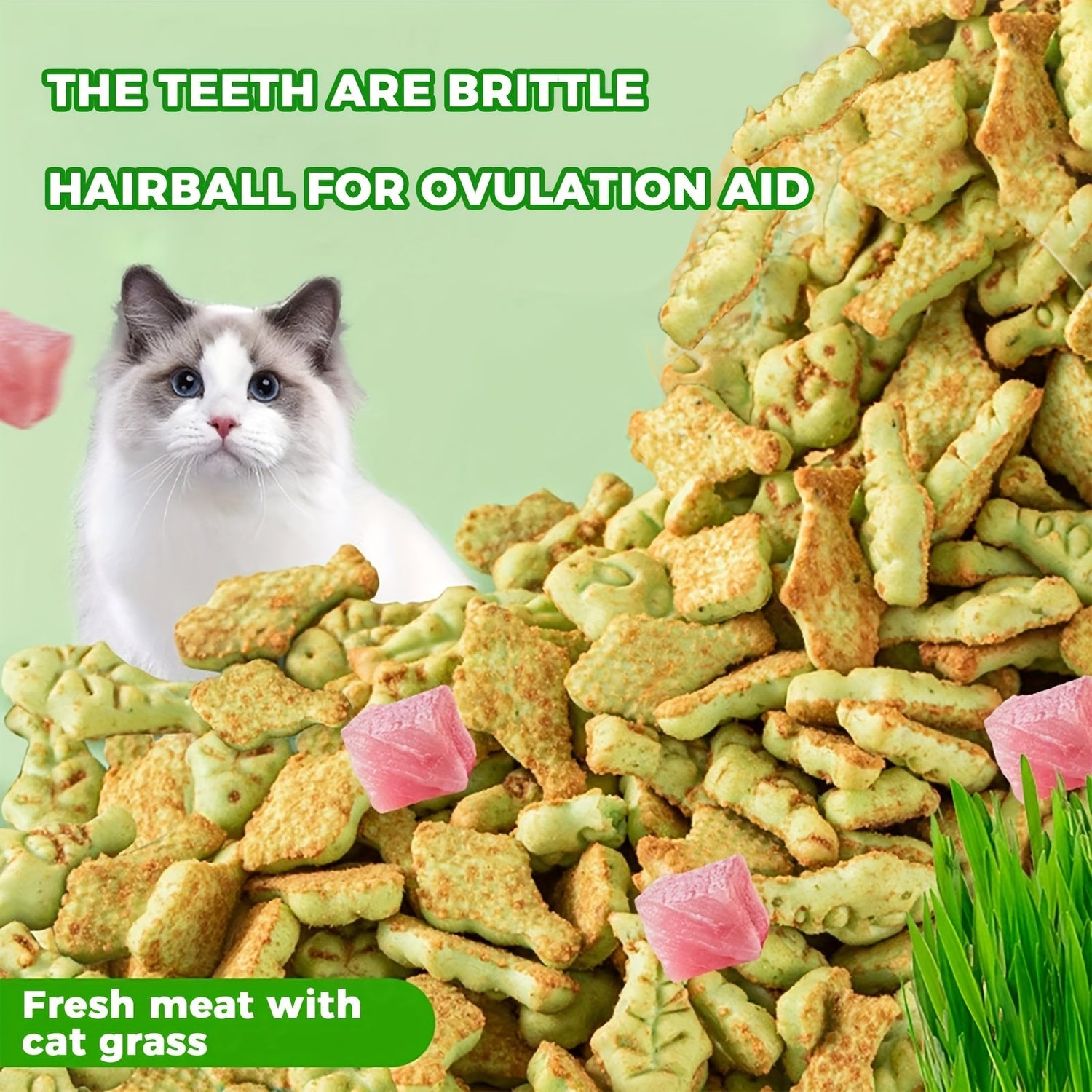 Cat Treats