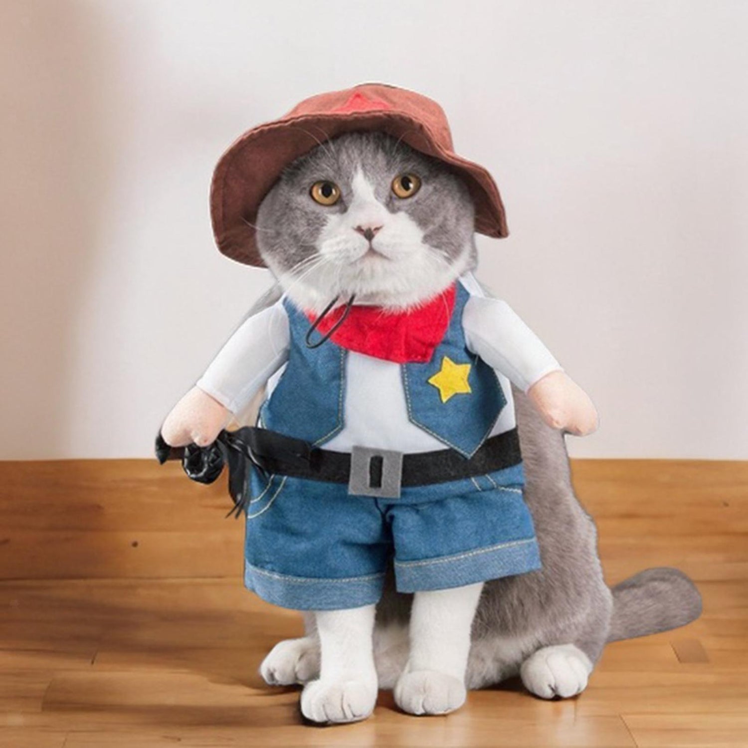 Cat / Small Dog Costumes
