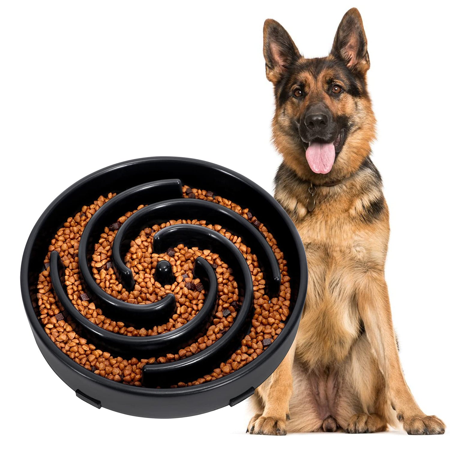 Dog Food
