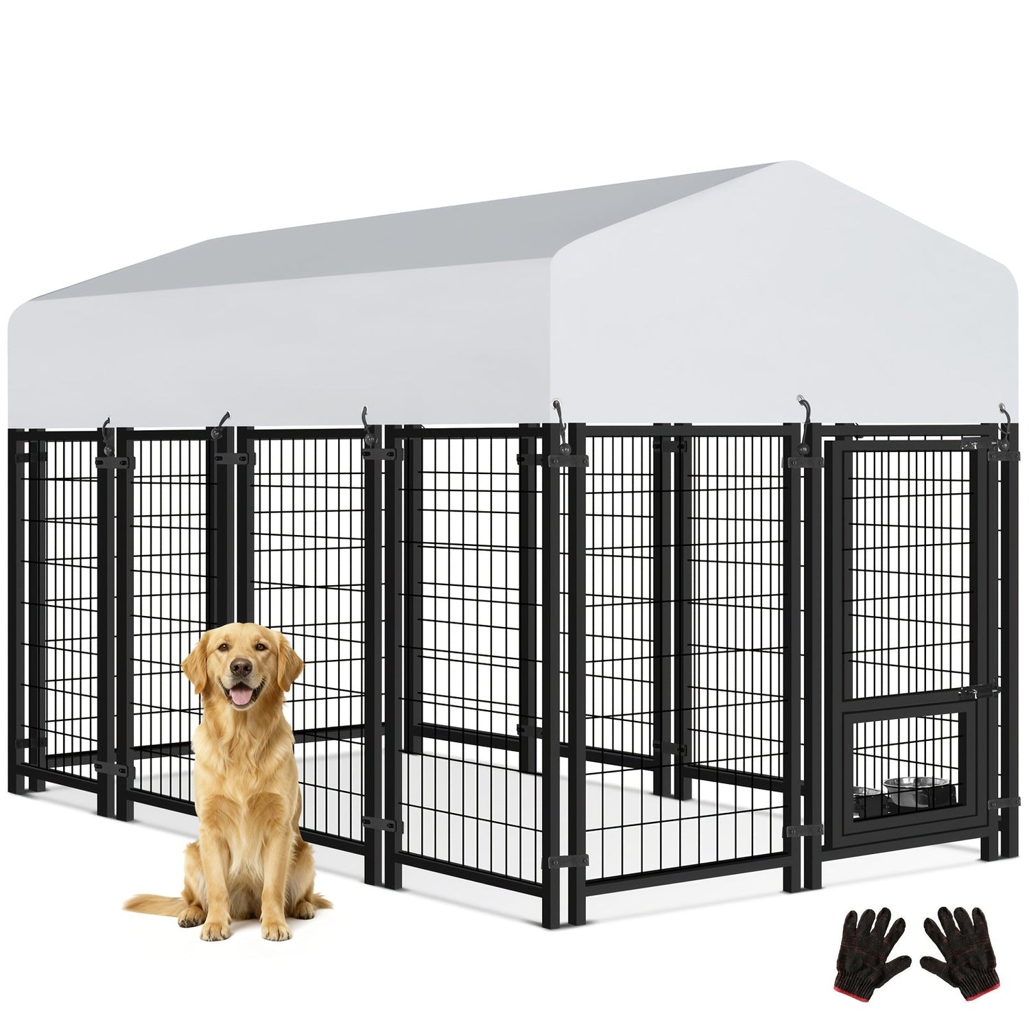 Kennels