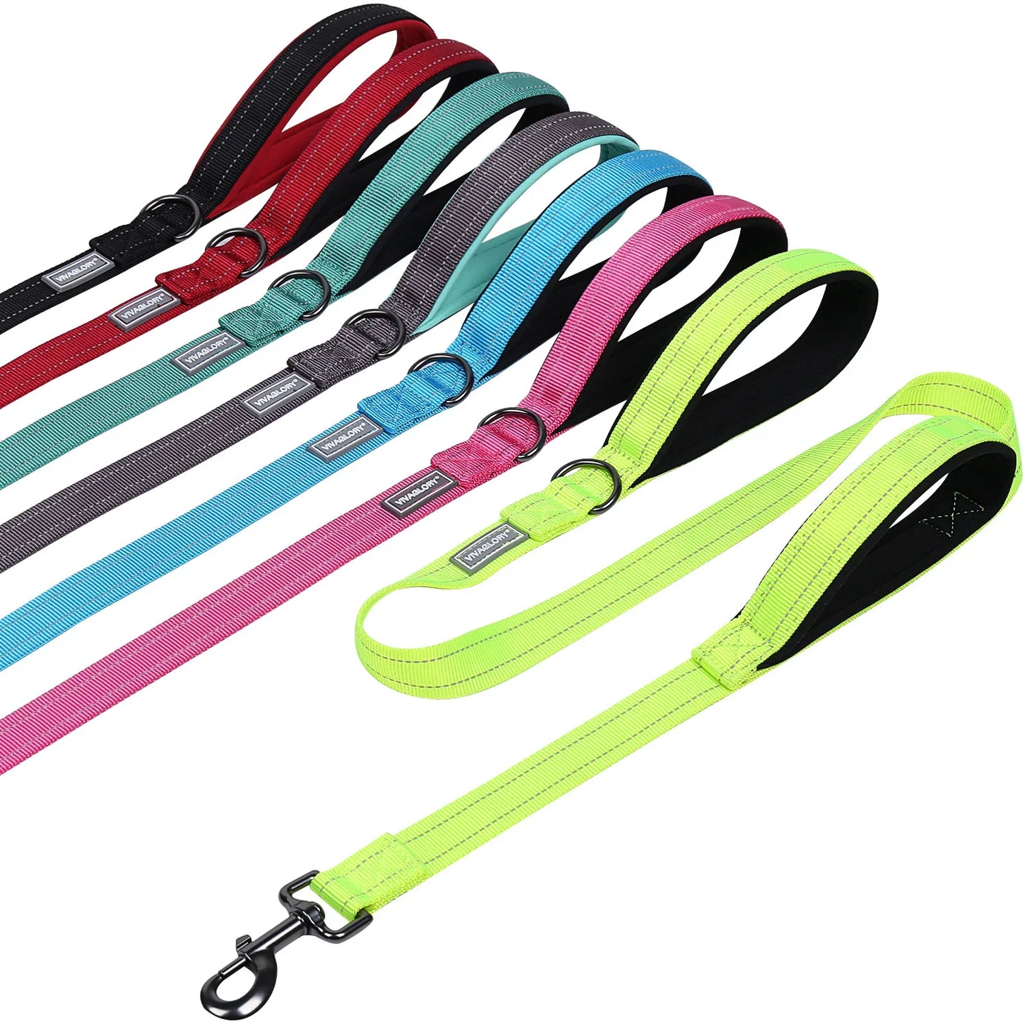 Dog Leashes