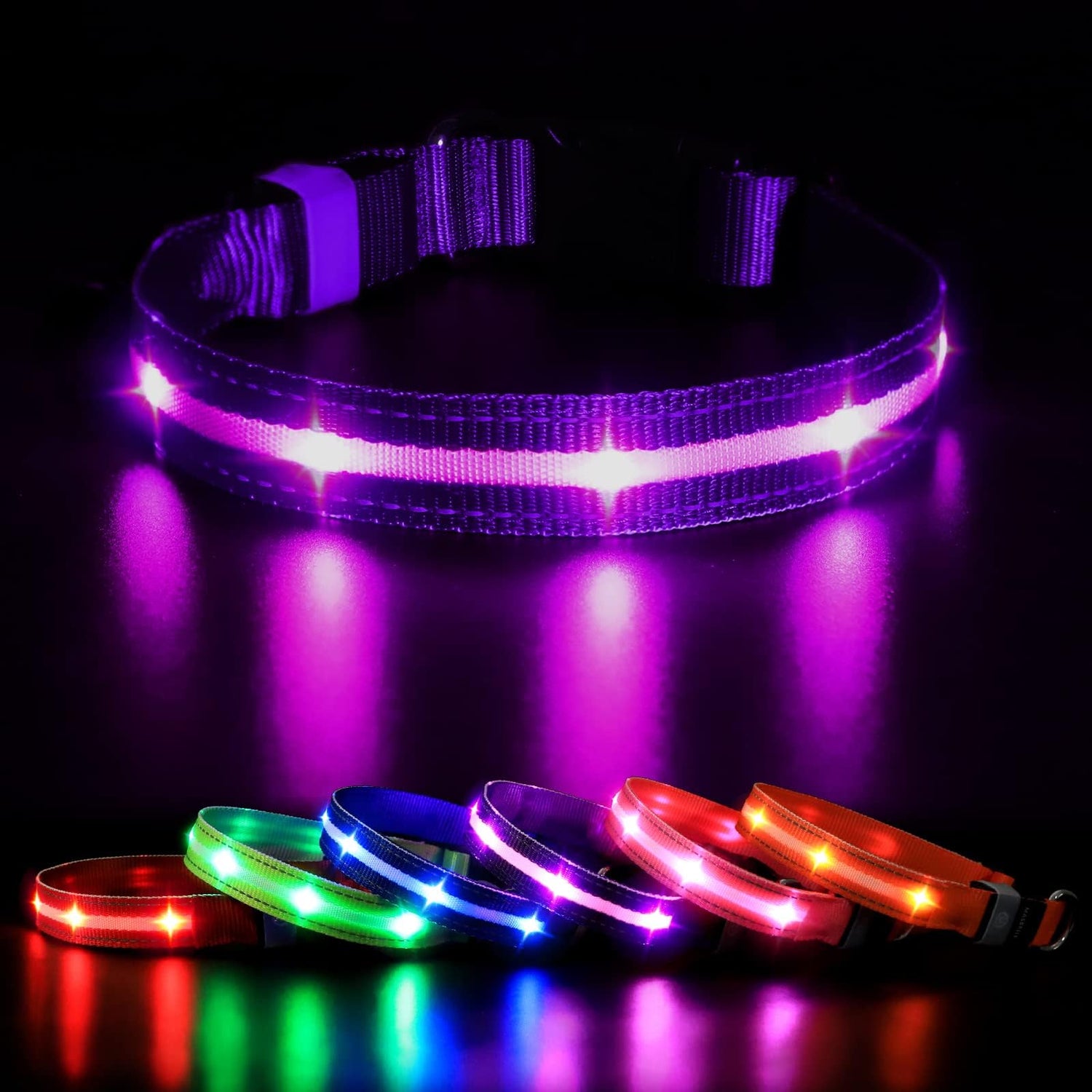 Neon Pet Collars