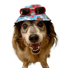 Outdoor Apparel