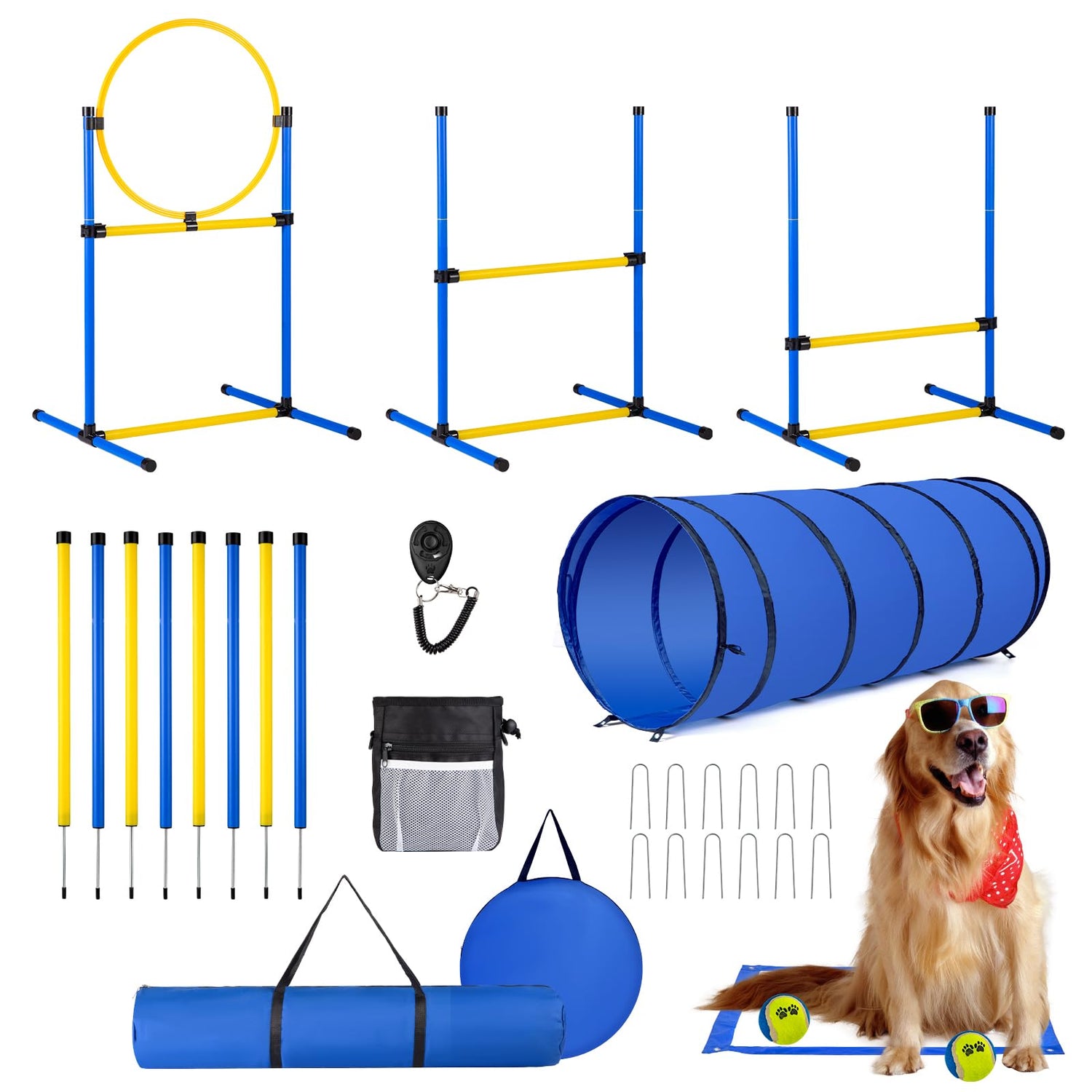 Pet Agility Equipment