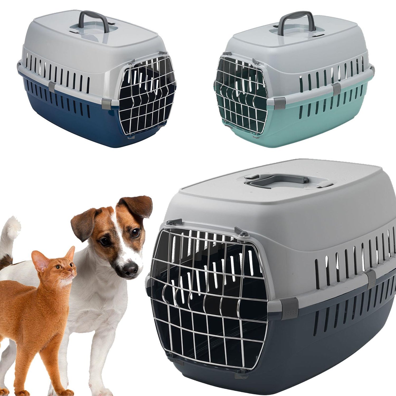 Pet Transportation