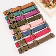 Pet Collars