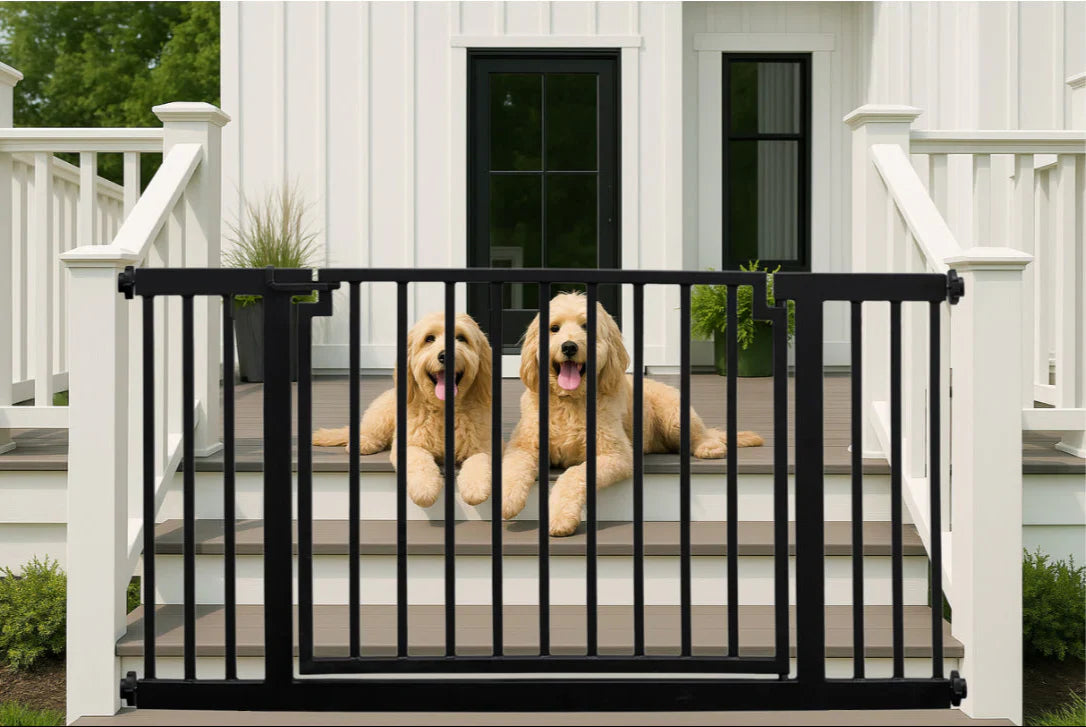 Pet Divider Gates and Doggie Doors