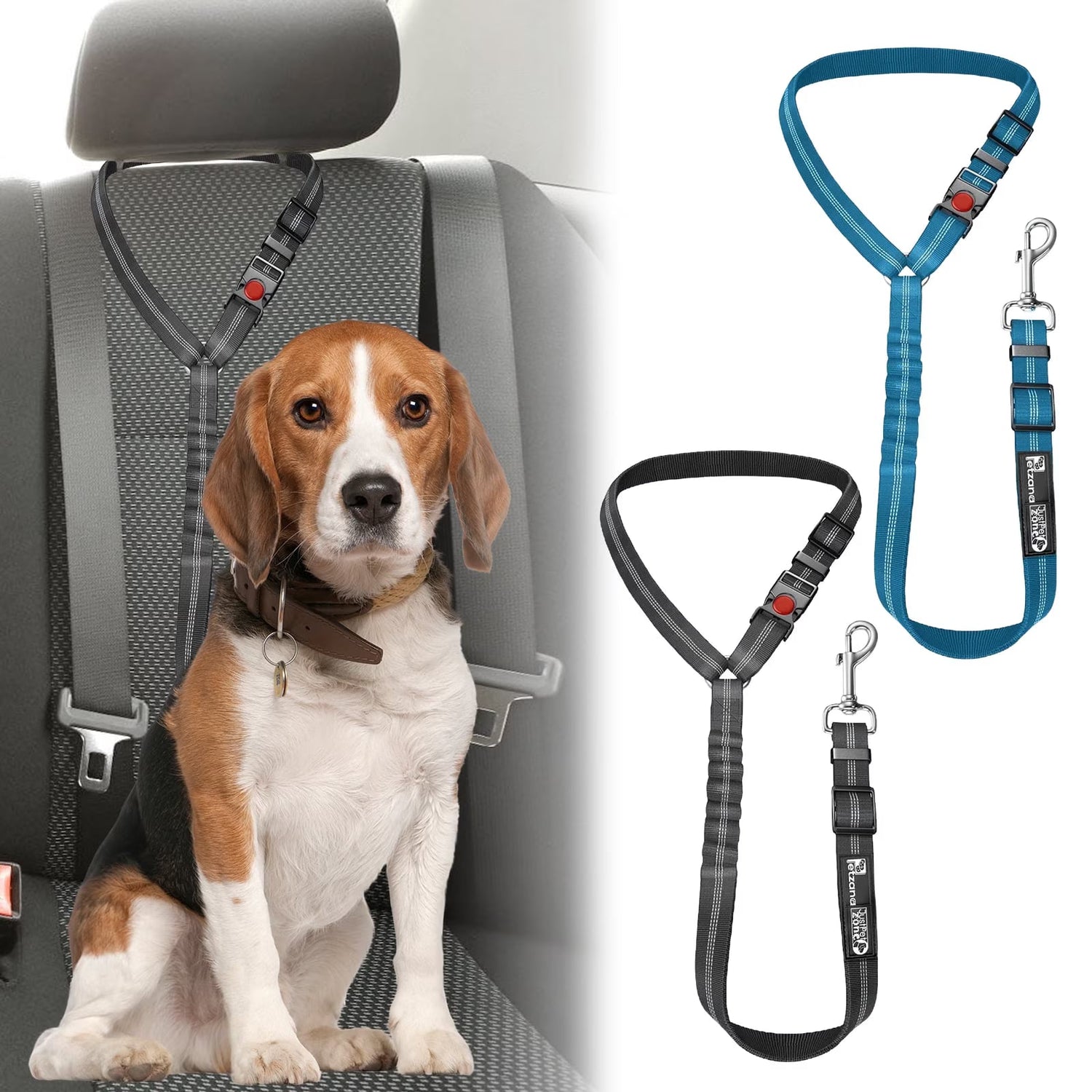 Pet Seat Belts