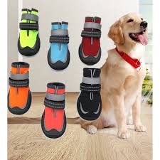 Pet Shoes