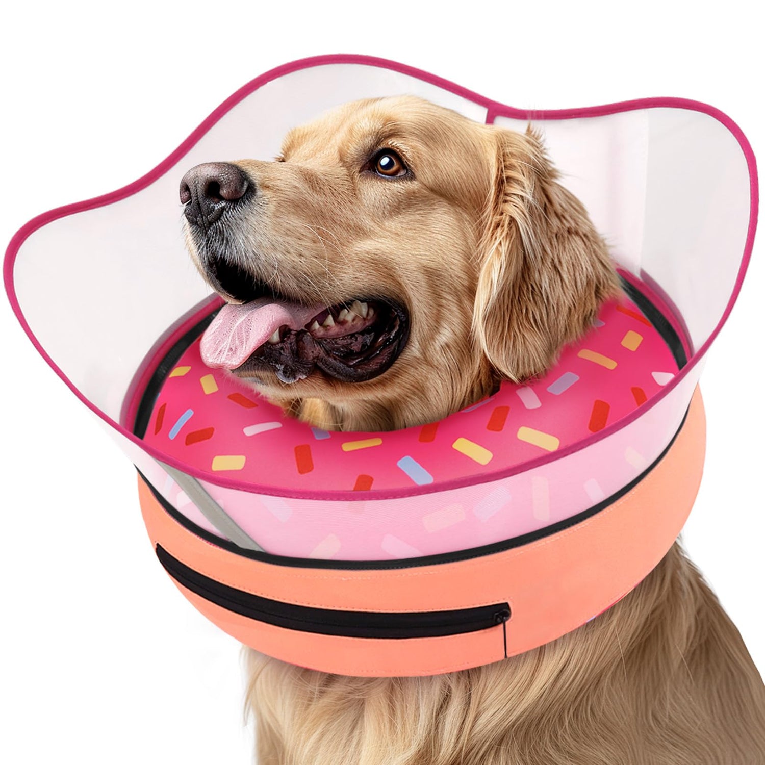 Pet Surgery Cones