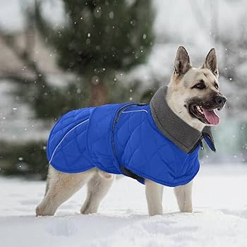 Winter Jackets