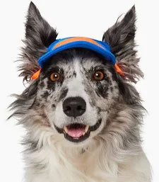 Hats, Visors, and Sunglasses
