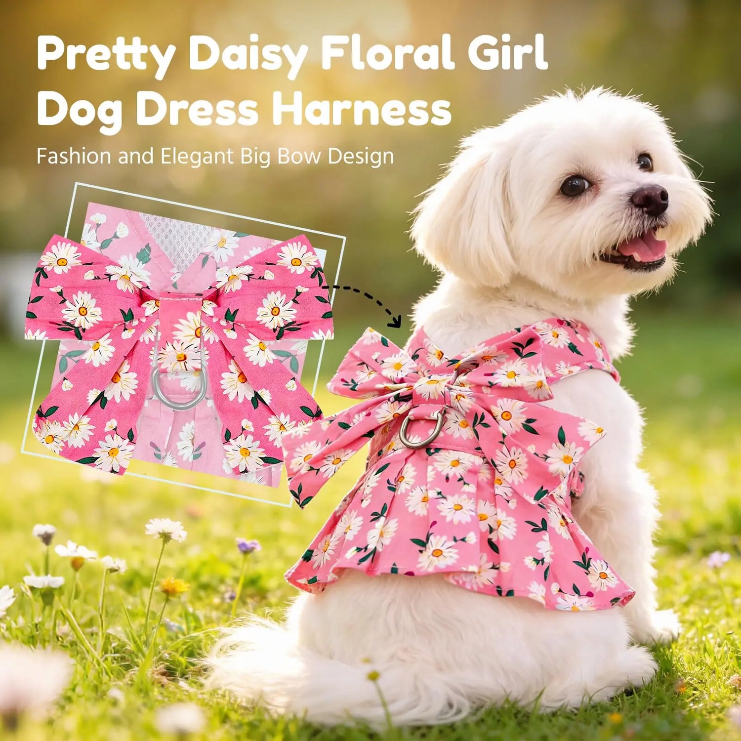 Cat / Small Dog Apparel