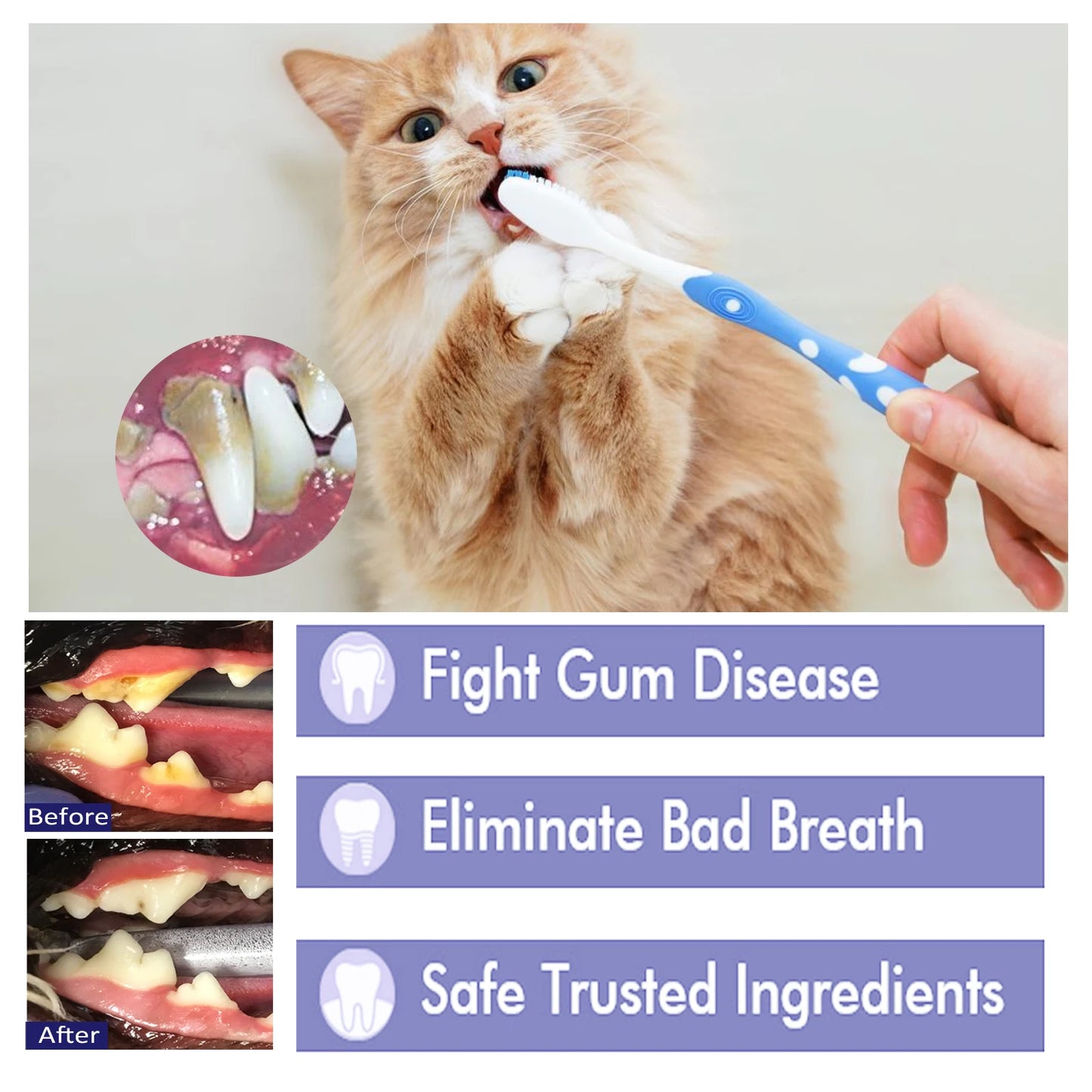 Yegbong Pet Dental Care Toothpaste Promote Pet Oral Health Protect Gum Non-irritating Remove Teeth Stains Reduce Odor Toothpaste