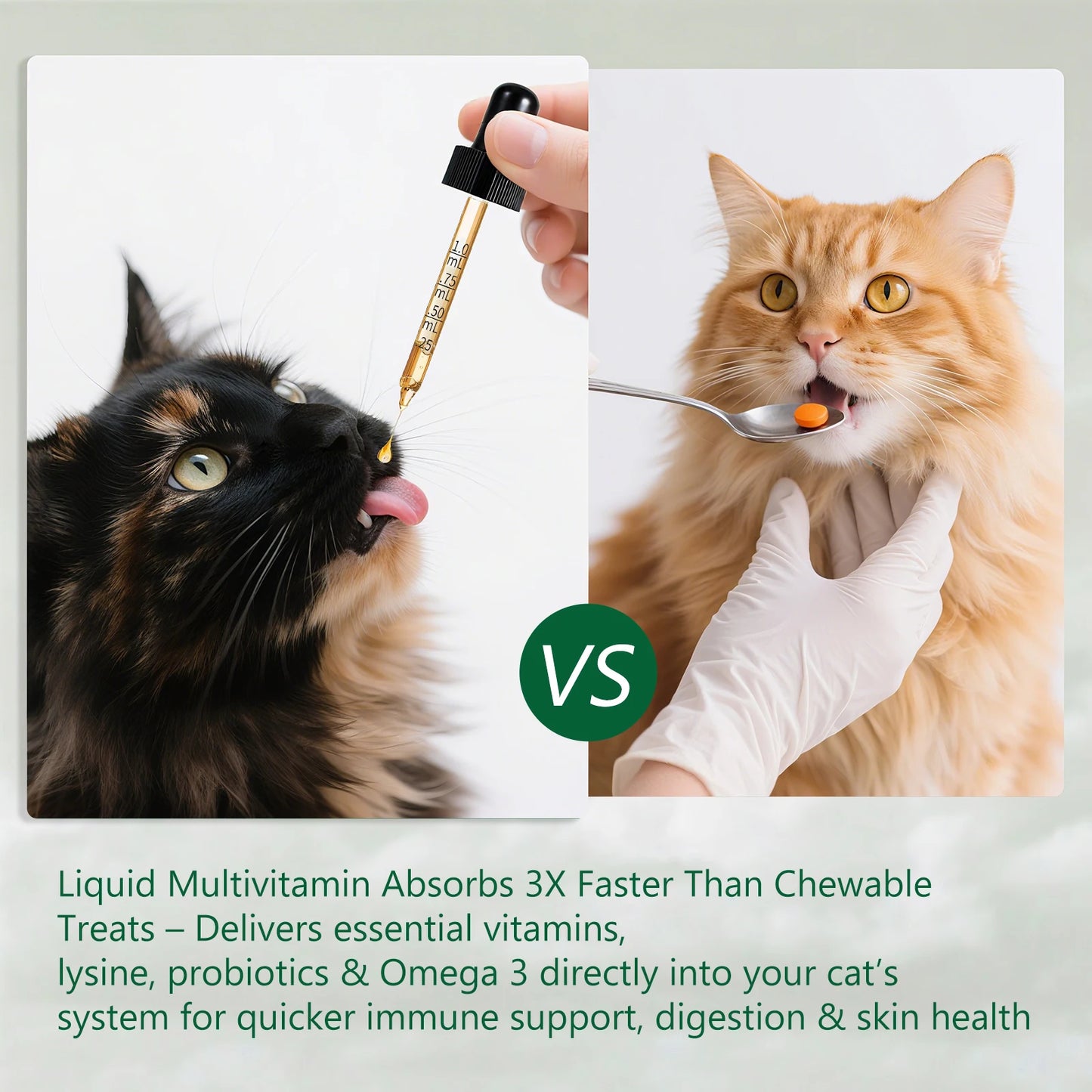 PetFit Naturals 2oz Liquid Cat Vitamins Lysine Probiotics Omega3 Supplement for Feline Kidney Immunity Skin Digestive Health