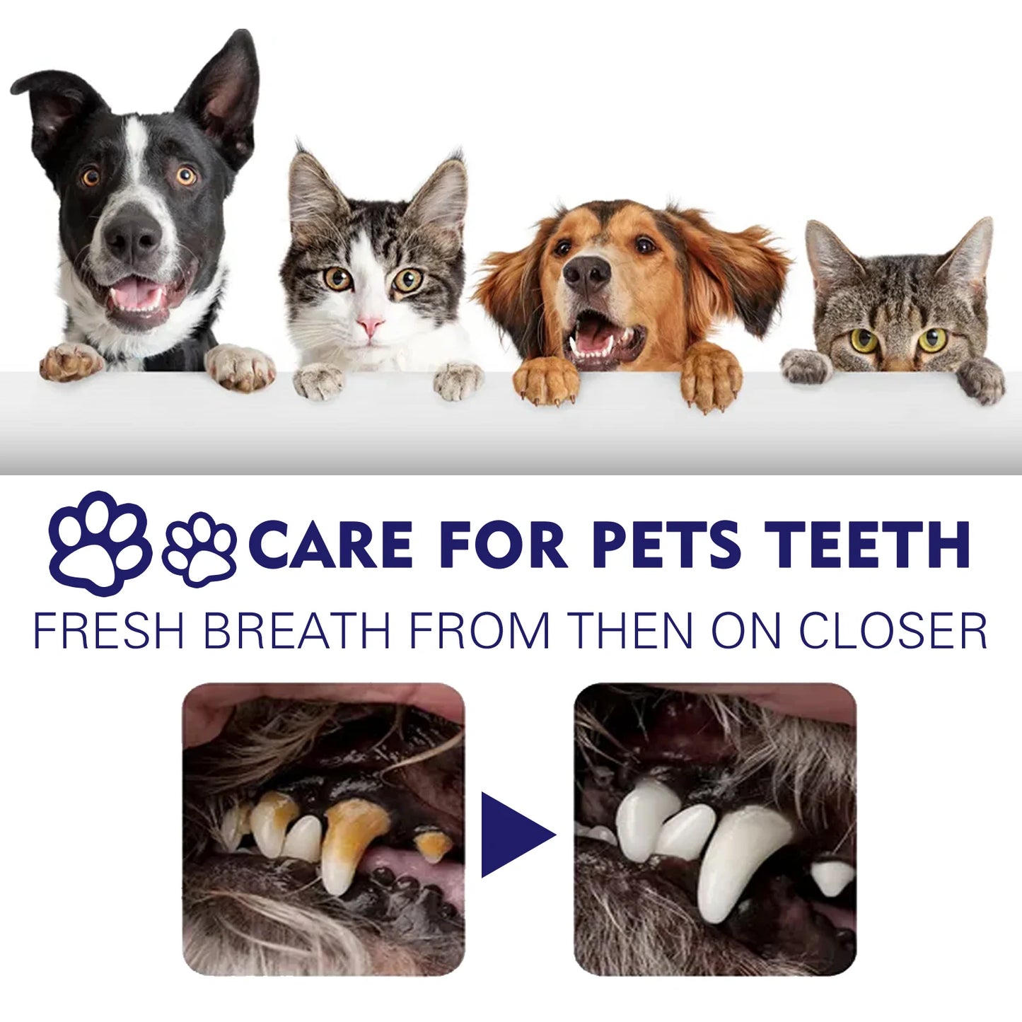 Yegbong Pet Dental Care Toothpaste Promote Pet Oral Health Protect Gum Non-irritating Remove Teeth Stains Reduce Odor Toothpaste