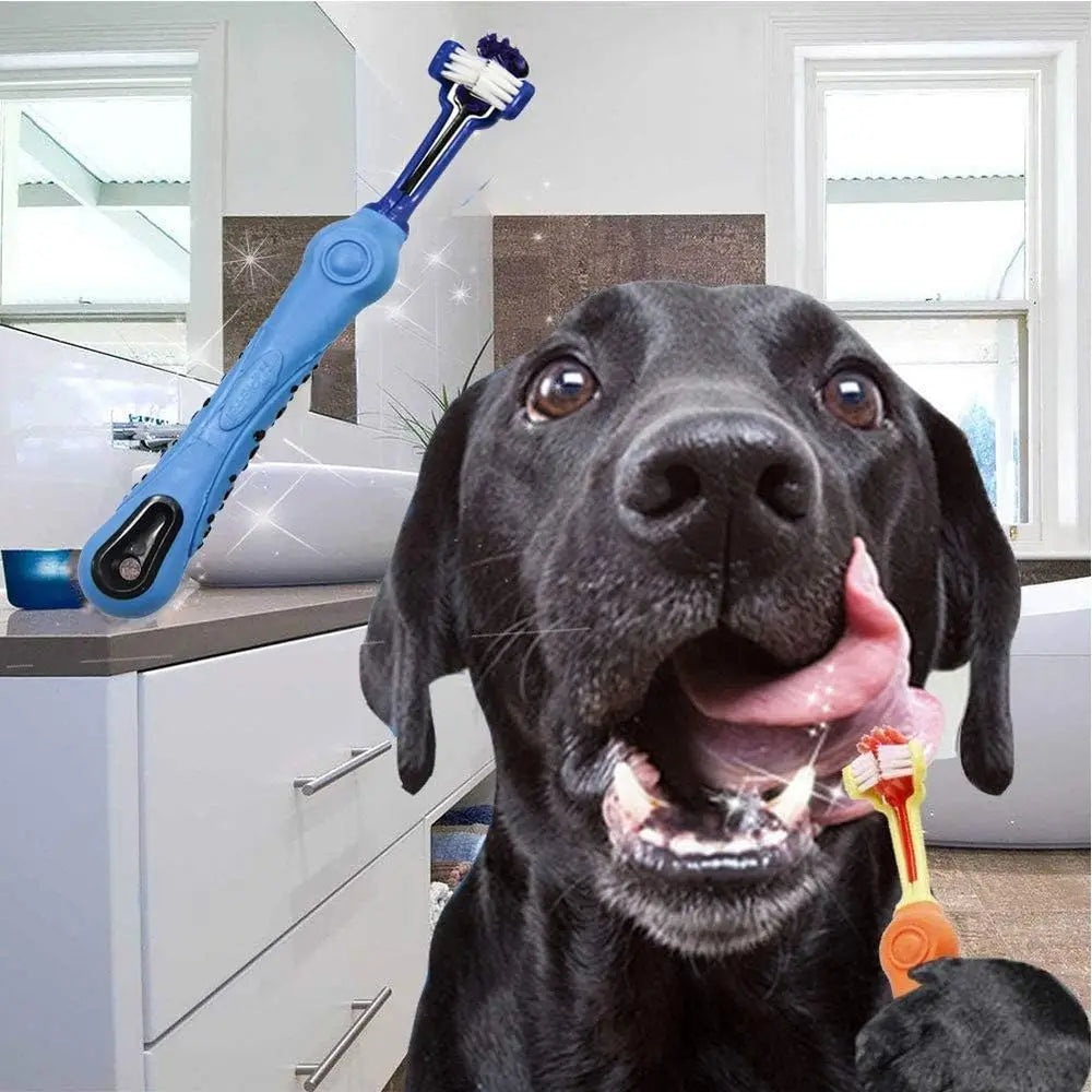 3-Sided Dog Toothbrush Removing Bad Breath Tartar Cleaning Mouth Pet Dental Care Cat Cleaning Mouth (4 Count, Pack of 1)