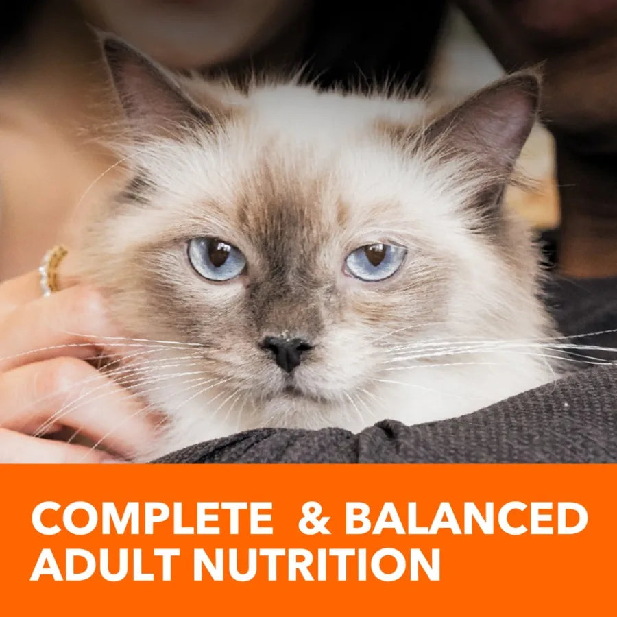Proactive Health Chicken And Salmon Dry Cat Food, 7 Lb Bag