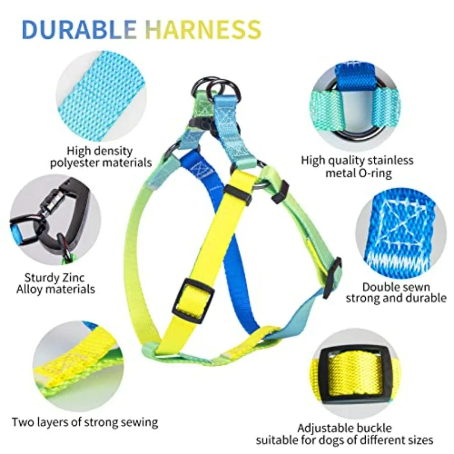 No Pull Dog Harness and Leash and Collar - Adjustable Basic Collar with A Heavy Duty Leash - Super Sturdy Buckle and D Ring - T