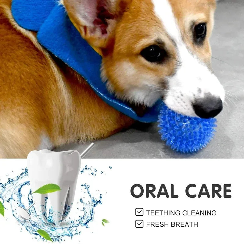 Pet Dog Toys Cat Puppy Sounding Toy Polka Squeaky Tooth Cleaning Ball TPR Training Pet Teeth Chewing Toy Thorn Balls /.,loo