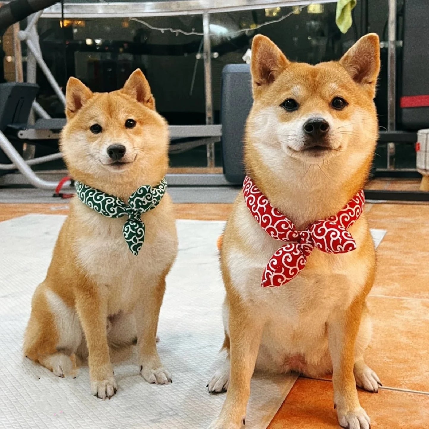 Dog Bandanas Akita Shiba Scarf Soft Collar Washable Bow Accessories Japanese farmhouse Style Cotton dogs Bibs Pet Fashion