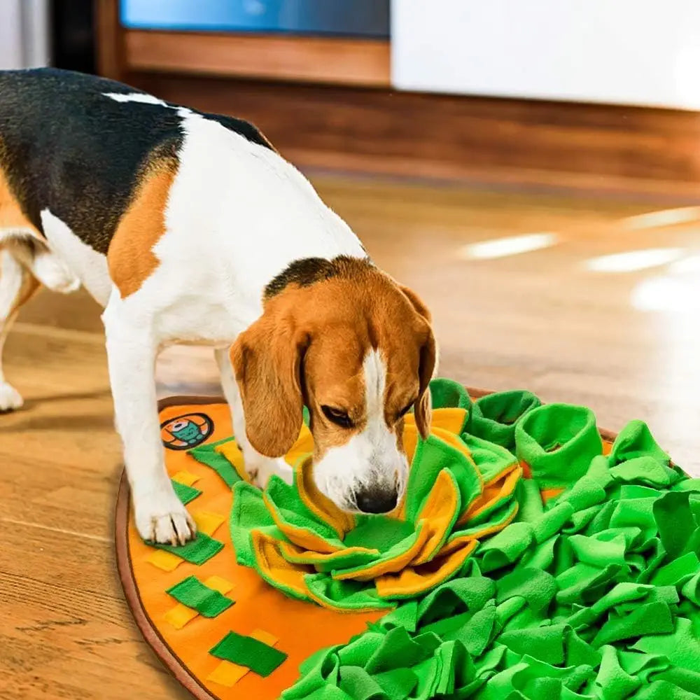 Snugle Mat for Dogs, Dog Cats Nose work Feeding Mat, Pet Interactive Dog Puzzle Toys Encourages Natural Foraging Skills or Training