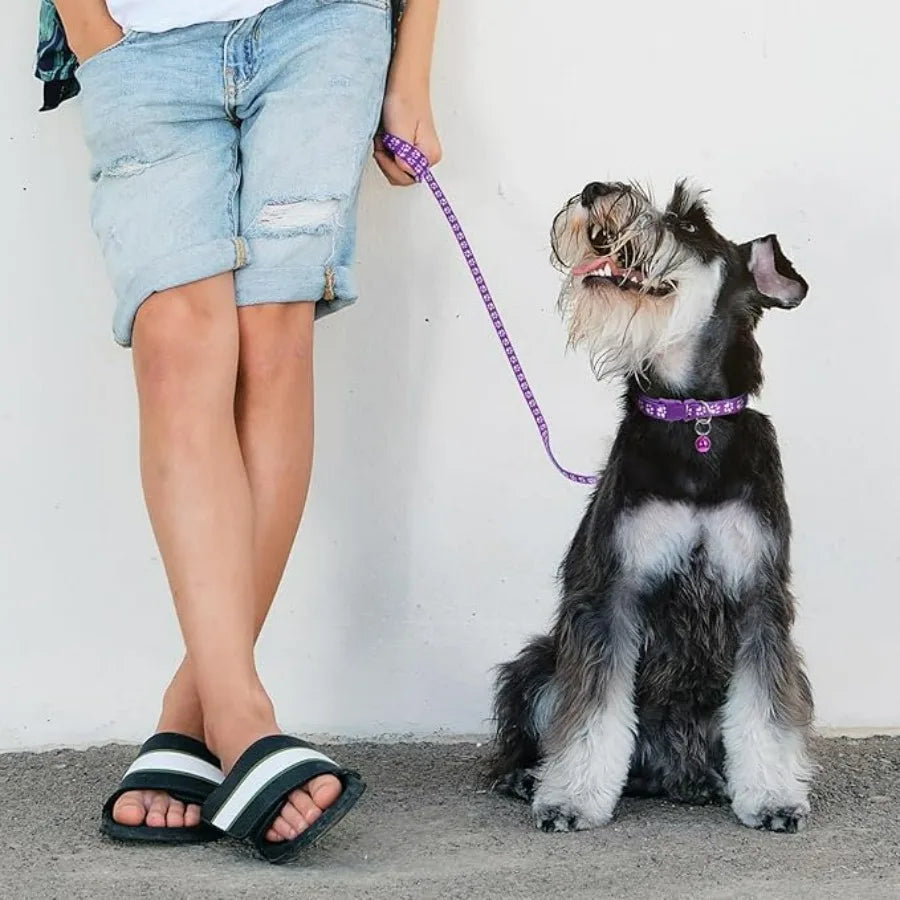 Purple Small Dog Collar and Leash Set, Pawprint Puppy Collar and Leash Adjustable Kitten Collar with Bell for Tiny Little XXS X