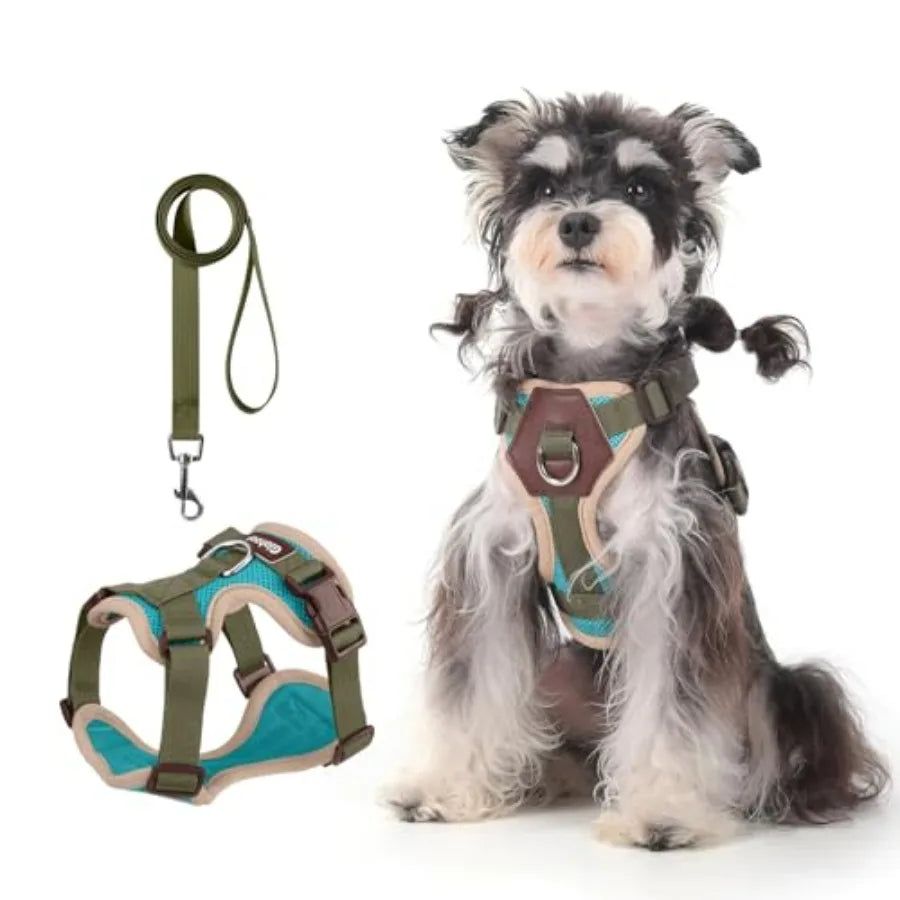 Small Dog Harness and Leash Set, Breathable Mesh Puppy Harness, Adjustable Dog Harness for Small Medium Large Dogs, No-Pull Pet