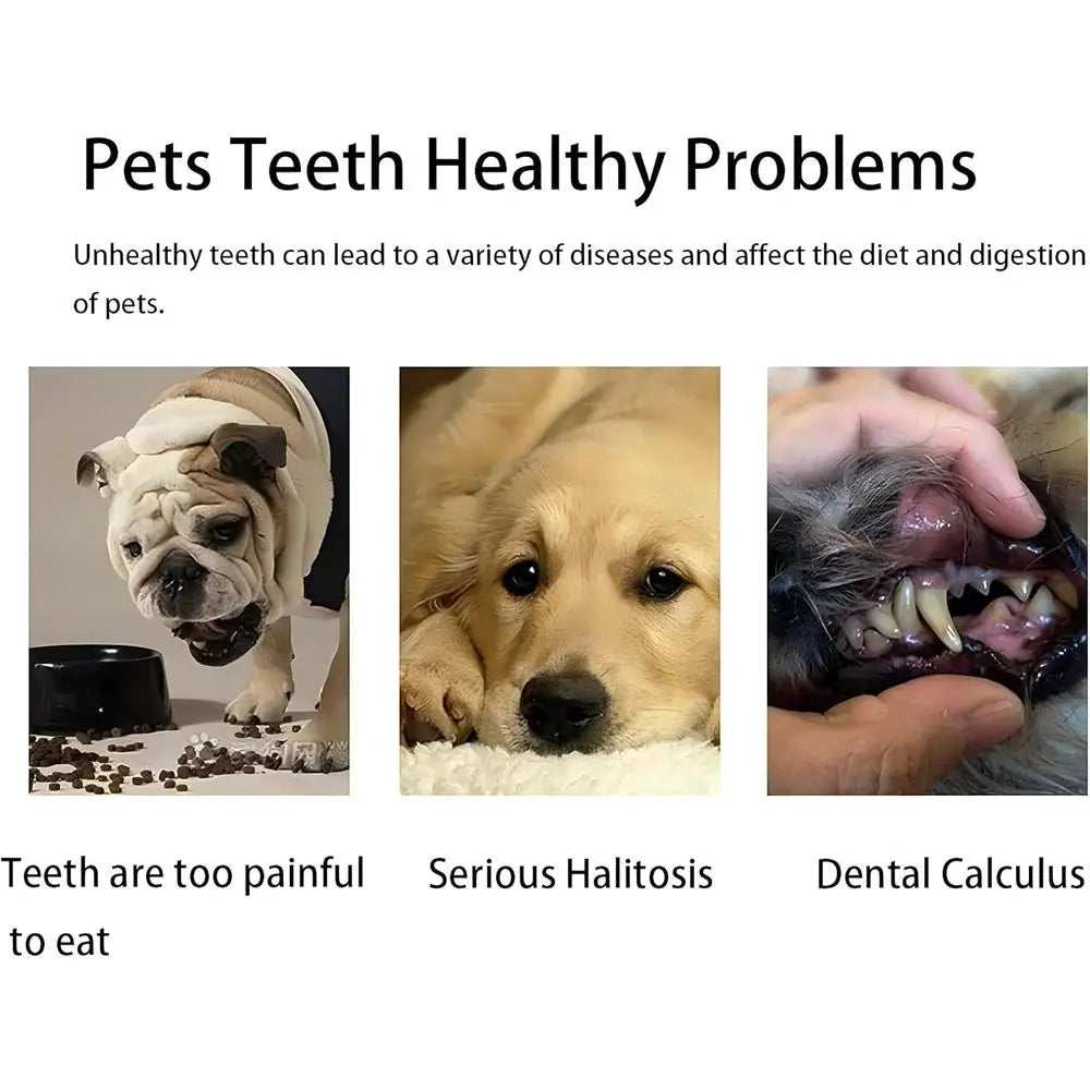 Toothbrush, Extra Soft Dog & Cat Toothbrushes Dental Cleaning Brushes, Puppy Small Pet & Cat Dogs Teeth Dental 3 Pack Kit (White