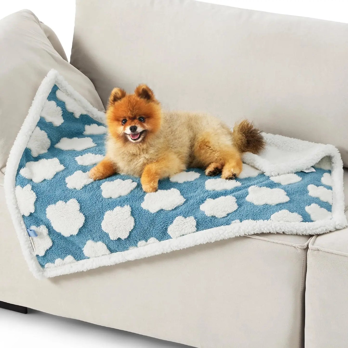 Waterproof Puppy Blanket for Small Dogs - Washable Double Sided Pet Blanket with Sherpa & Shag, Blue