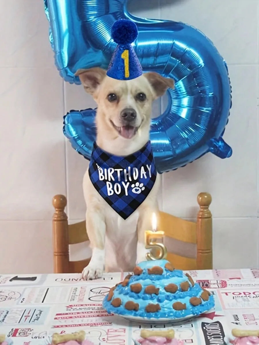 4pcs Slogan Graphic Pet Bandana & Hat & Bow Set For Dog And Cat For Birthday Party