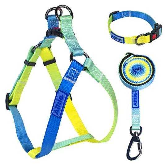 No Pull Dog Harness and Leash and Collar - Adjustable Basic Collar with A Heavy Duty Leash - Super Sturdy Buckle and D Ring - T