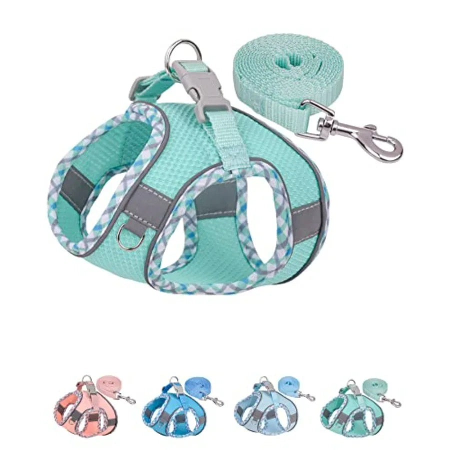 Dog Harness for Small Medium Dogs No Pull, Puppy Harness and Leash Set, Step in Dog Harness for Walking, Running, Training, Sma