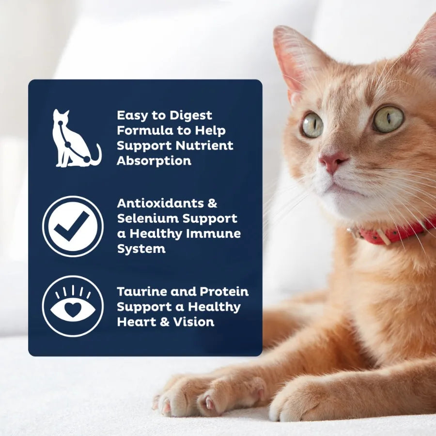 PLUS High Protein Dry Cat Food, 15.5 lb. Bag