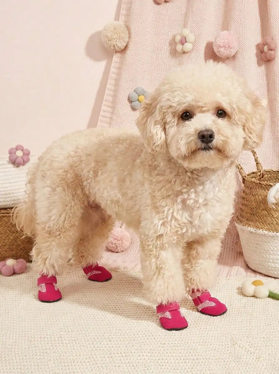 Summer Pet Shoes, Dog Breathable Mesh Casual Soft Bottom Indoor Shoes For Teddy, Poodle