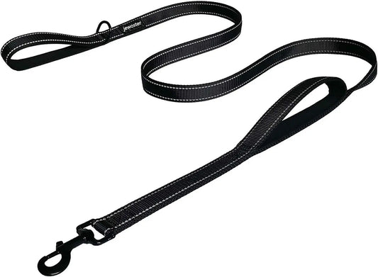 Heavy Duty Dog Leash with 2 Handles for Extra Control, 6 ft Long, Ideal for Medium to Large Dogs