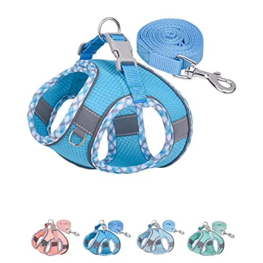Dog Harness for Small Medium Dogs No Pull, Puppy Harness and Leash Set, Step in Dog Harness for Walking, Running, Training, Sma